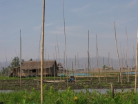 floating-gardens-inle-lake-myanmar-2