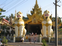 guardians-of-shwedagon-pagoda-yangon-myanmar