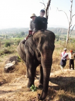elephant-ride-pai-thailand